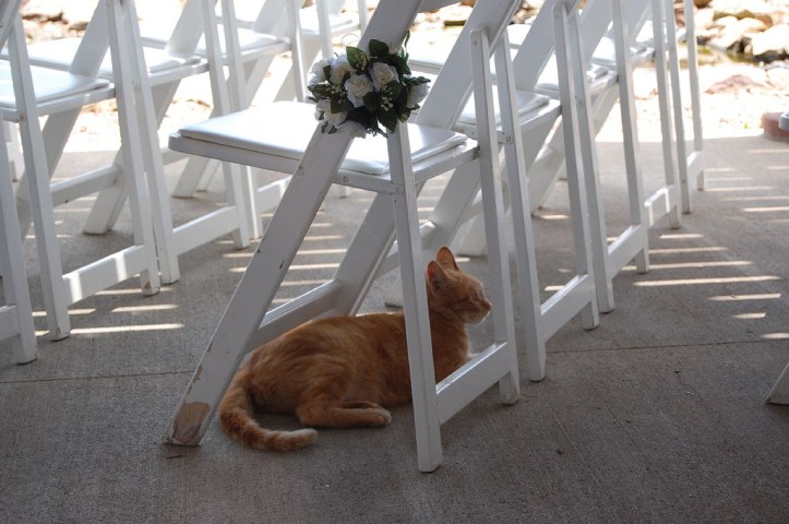 3634320029_d86f87c0f7_b