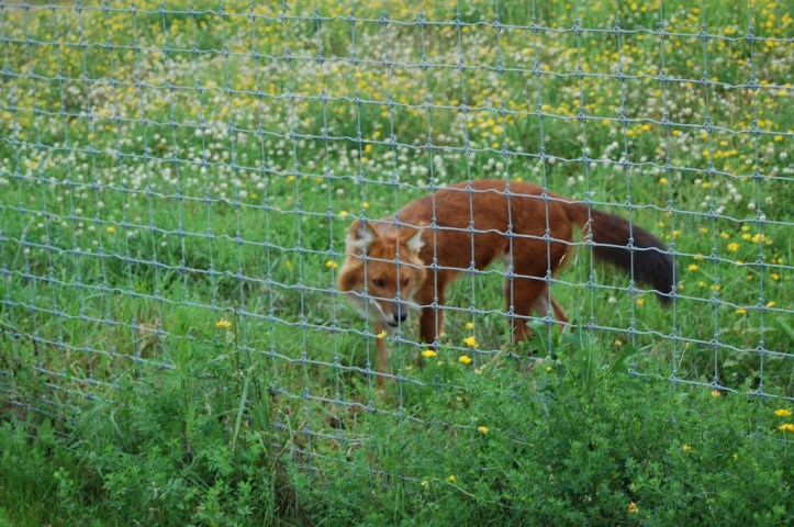 3634390867_cccccd01f6_b