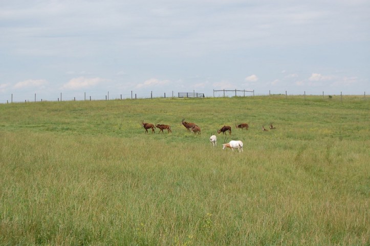 3634398413_2b53c42034_b