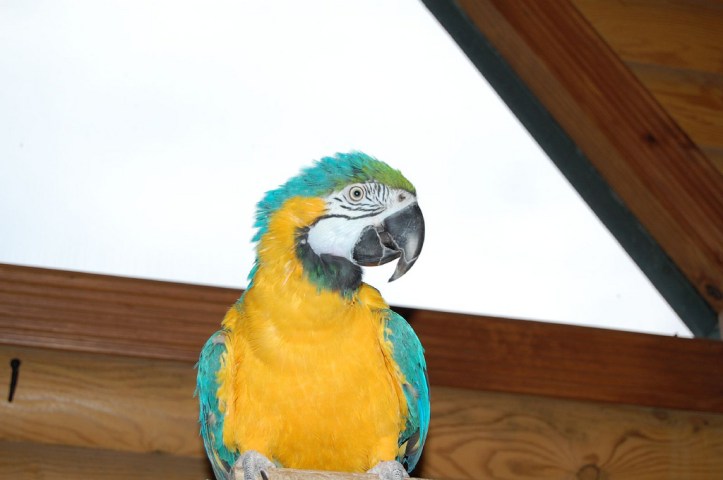 3635101424_282324795d_b