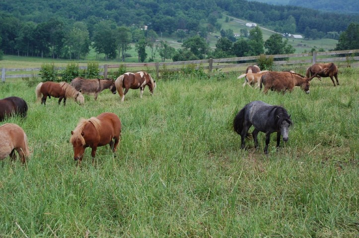 3635102272_1b051cdccf_b