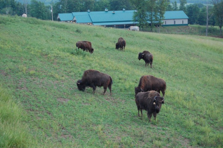 3635125478_ee7d3f5a33_b