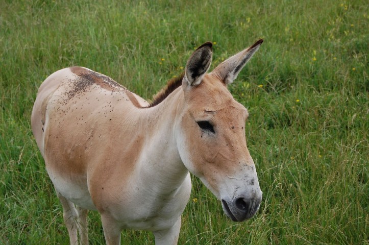 3635196120_6961c2a816_b