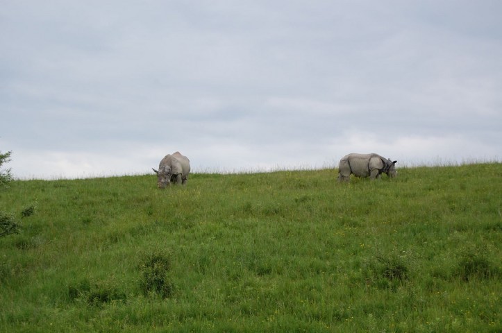 3635197450_2c9c33238a_b