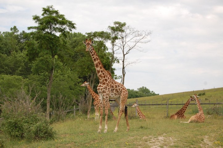 3635205760_e374ef497e_b