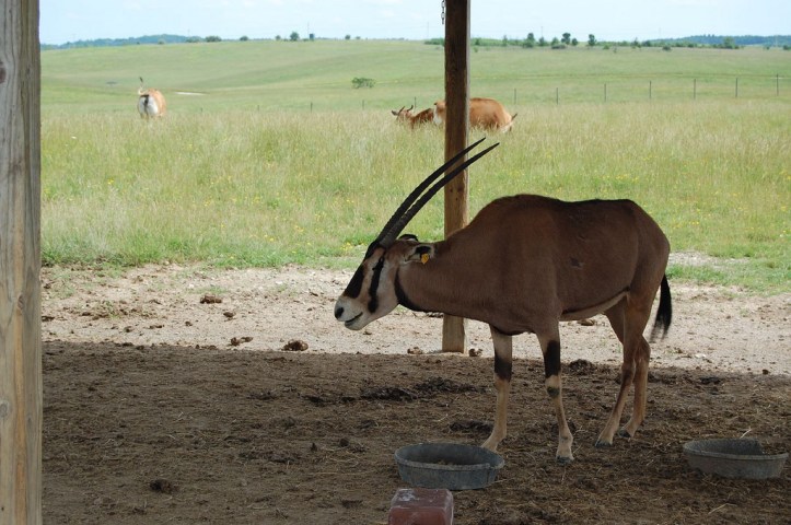 3635207712_5162cf5da2_b