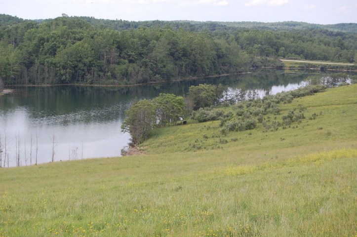 3635210682_4d4f9f86bf_b